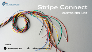 Stripe Connect Software Customers List