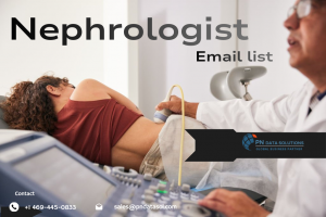 Nephrologist Email List | Verified Kidney Specialist Contacts